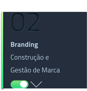 Branding Construção e gestão de marca