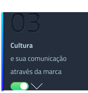 Cultura e sya comunicação através da marca
